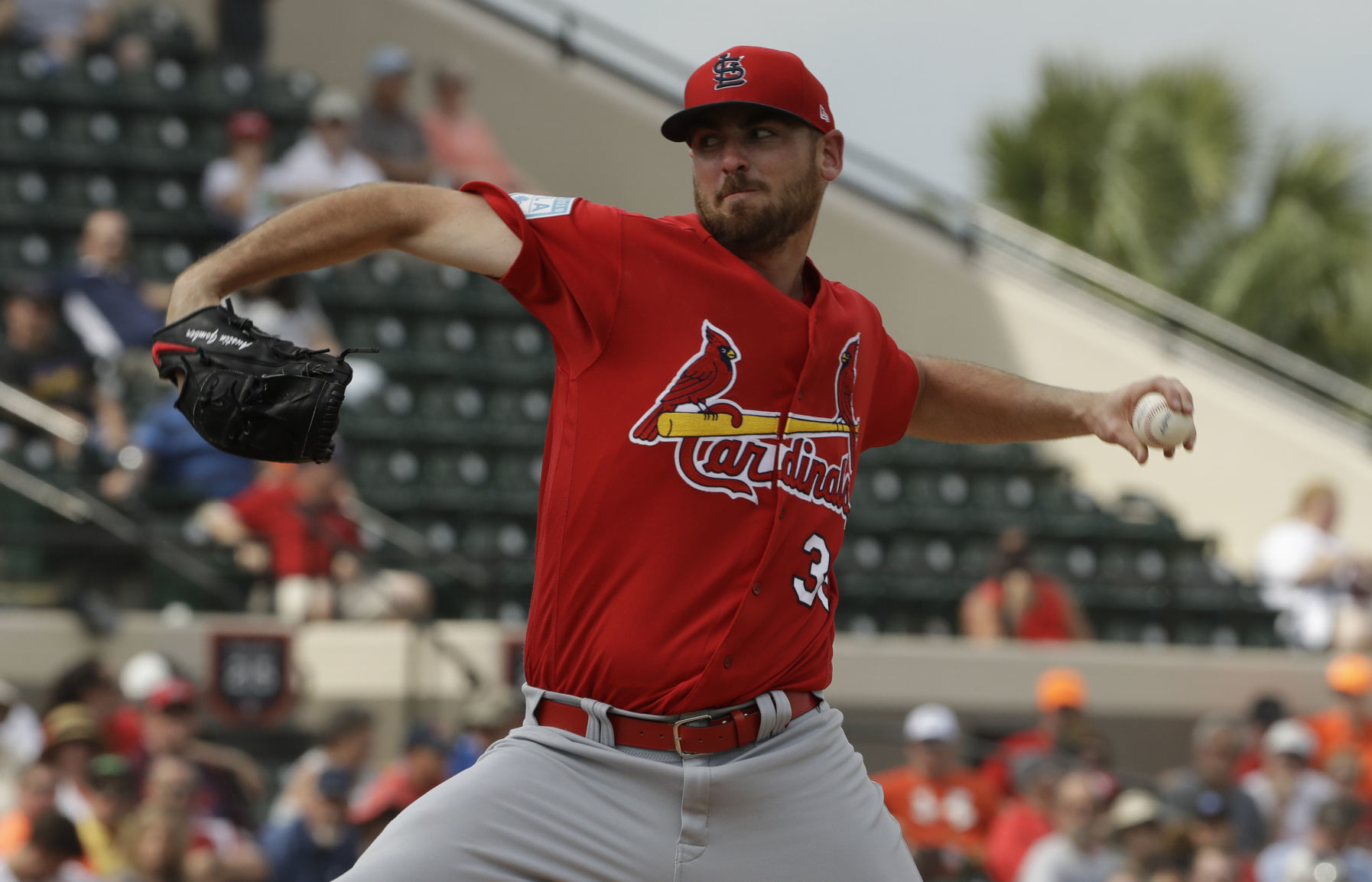 Cardinals Tigers Baseball